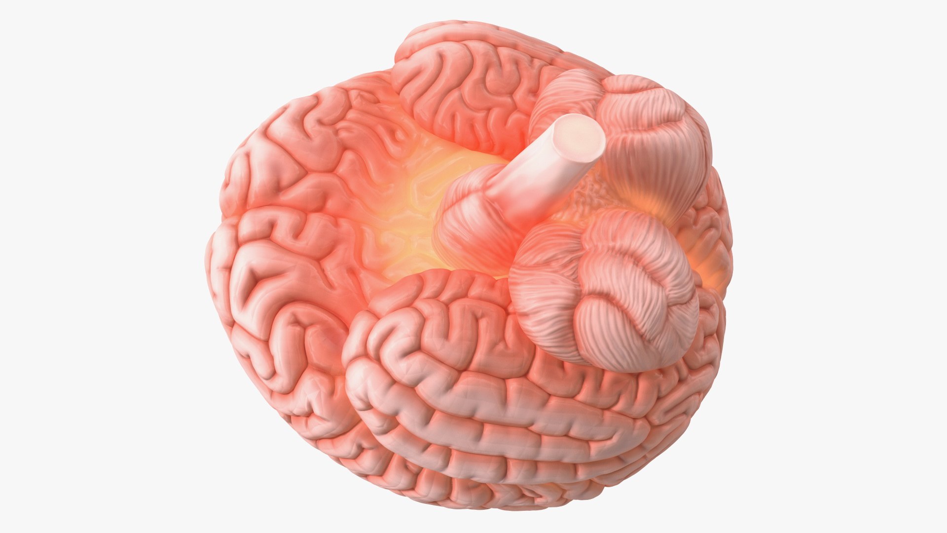 Human Brain With Implanted Microchip Lighted 3D model https://p.turbosquid.com/ts-thumb/wc/ruzF3j/IN/humanbrainwithimplantedmicrochiplighted3dsmodel012/jpg/1722855086/1920x1080/fit_q87/a765c4c7f7d21e6744f7711b20a141842ead58e7/humanbrainwithimplantedmicrochiplighted3dsmodel012.jpg