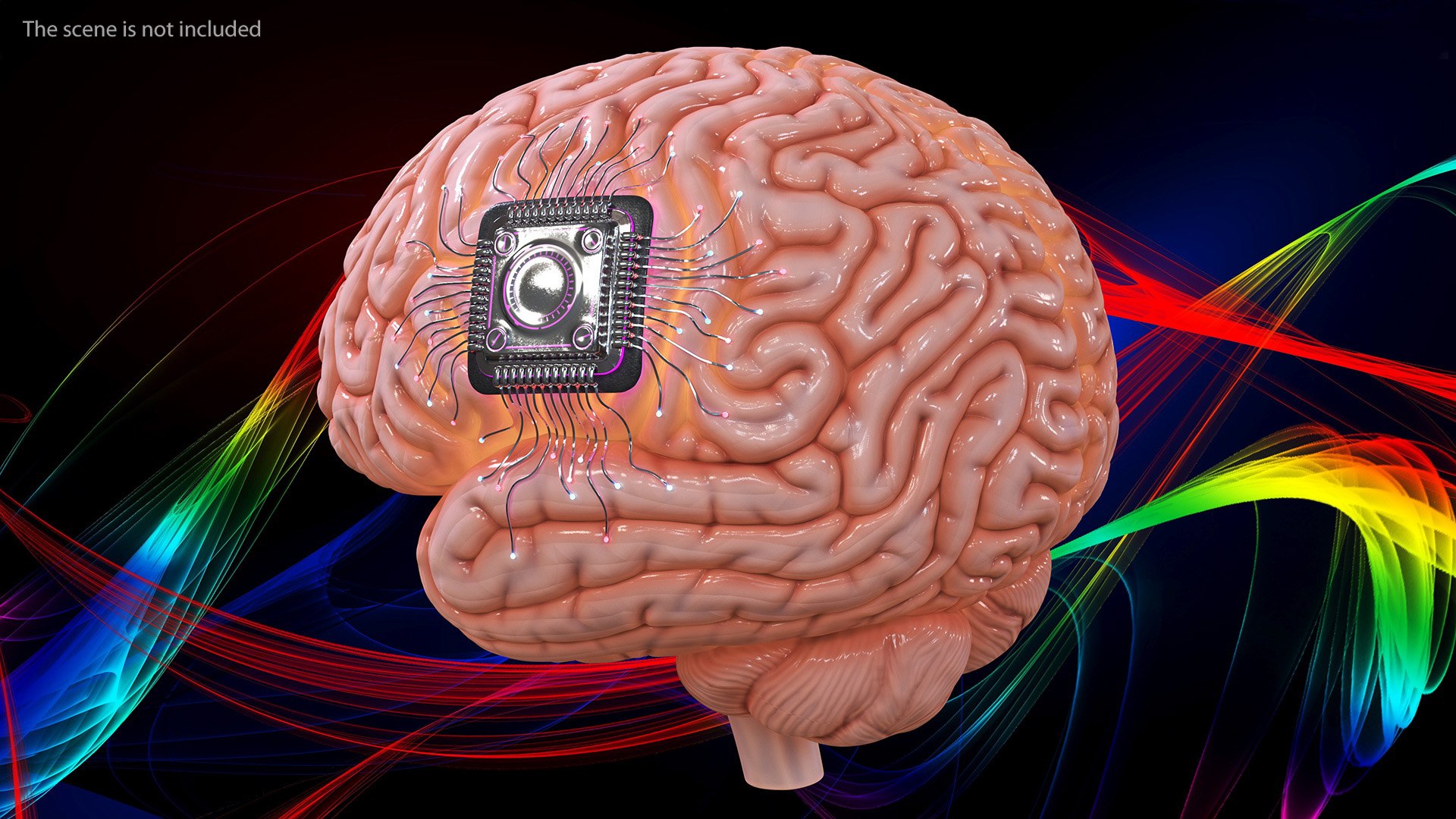 Human Brain With Implanted Microchip Lighted 3D model https://p.turbosquid.com/ts-thumb/wc/ruzF3j/LP/humanbrainwithimplantedmicrochiplighted3dsmodel003/jpg/1722855059/1920x1080/fit_q87/2cdb05ca4af3dc9d2c657d90a913125170bd63a5/humanbrainwithimplantedmicrochiplighted3dsmodel003.jpg
