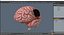 Human Brain With Implanted Microchip Lighted