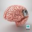 Human Brain With Implanted Microchip Lighted