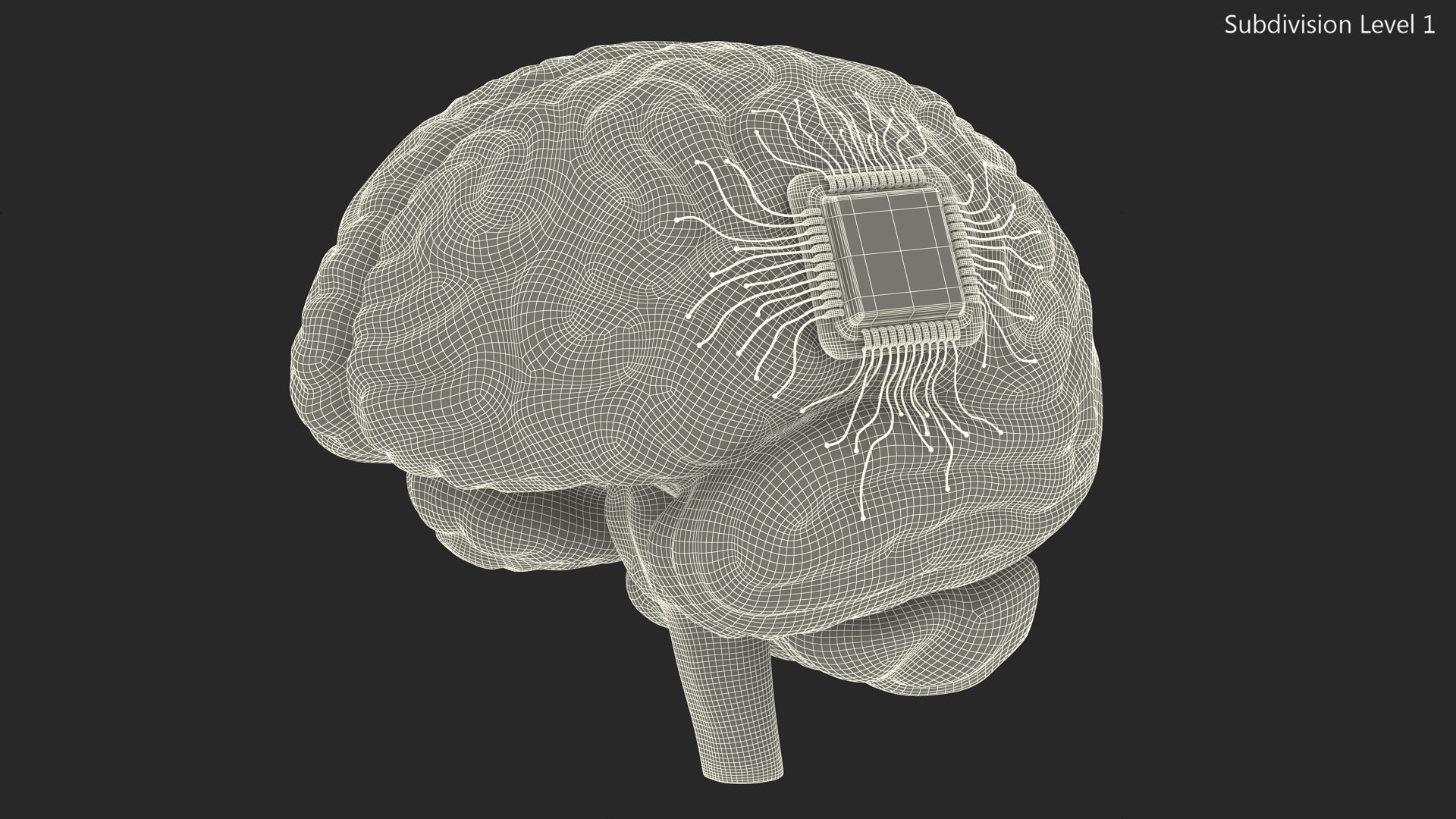 Human Brain With Implanted Microchip Lighted 3D model https://p.turbosquid.com/ts-thumb/wc/ruzF3j/oP/humanbrainwithimplantedmicrochiplighted3dsmodel016/jpg/1722855098/1920x1080/fit_q87/bb943ce761f71bc879686a378685ad367353993b/humanbrainwithimplantedmicrochiplighted3dsmodel016.jpg