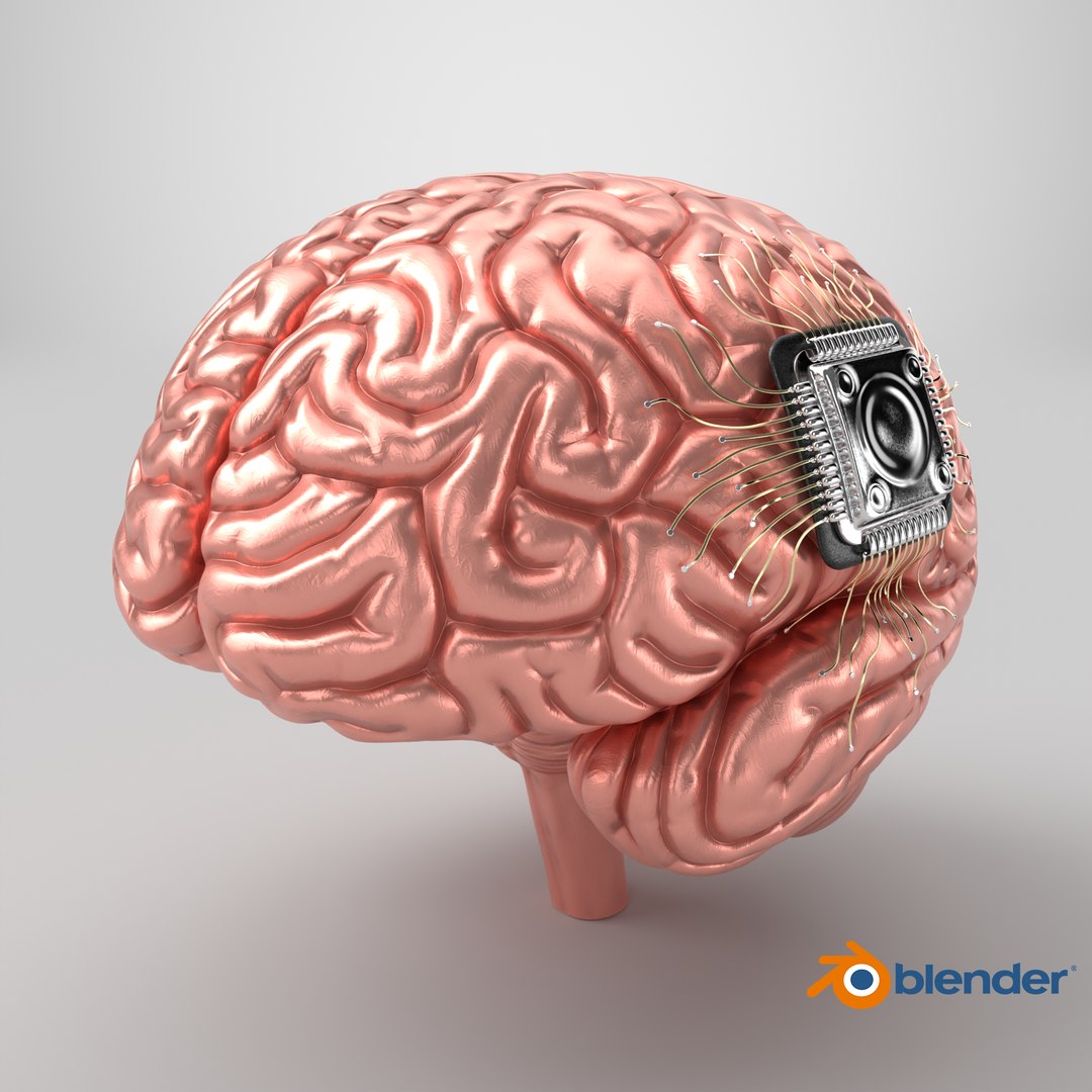 Human Brain With Implanted Microchip Lighted 3D model https://p.turbosquid.com/ts-thumb/wc/ruzF3j/uZ/stemcell_blender_cycles_render/png/1726218271/1920x1080/fit_q87/47c62b42abdd6e9e4b6f59bbc89363864e6c27c9/stemcell_blender_cycles_render.jpg