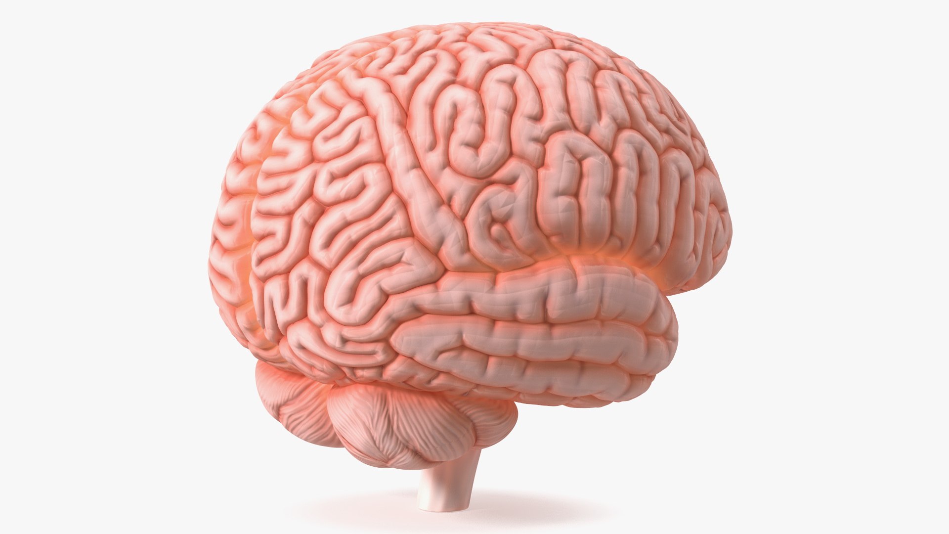 Human Brain With Implanted Microchip Lighted 3D model https://p.turbosquid.com/ts-thumb/wc/ruzF3j/yI/humanbrainwithimplantedmicrochiplighted3dsmodel010/jpg/1722855080/1920x1080/fit_q87/edbbad2ba87297b23b2f0e3ef1bbe0162269f594/humanbrainwithimplantedmicrochiplighted3dsmodel010.jpg