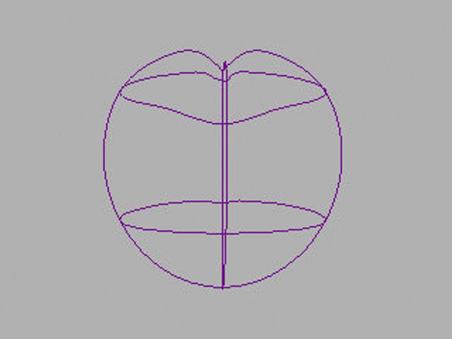 3d Brain Frame Model