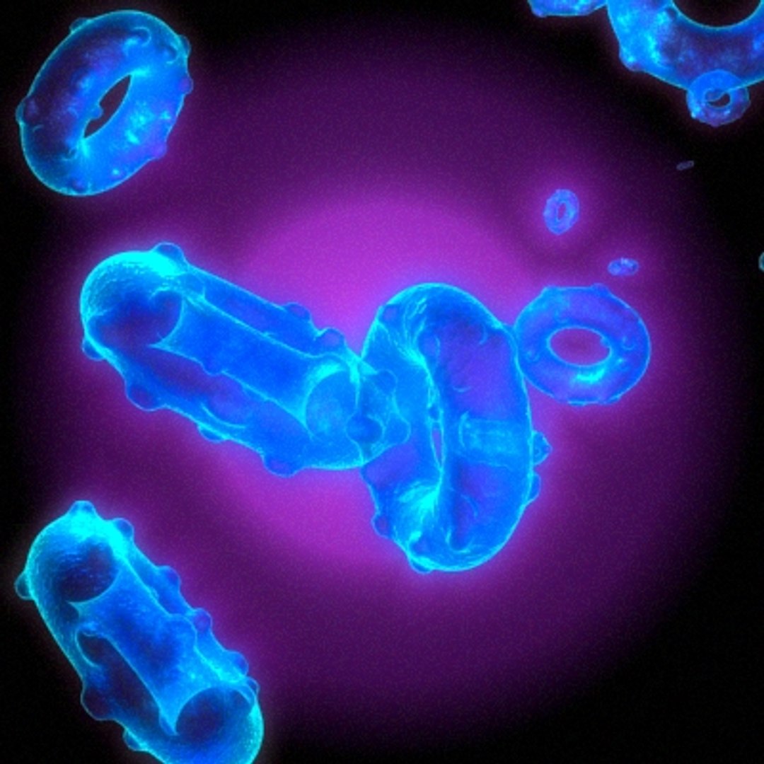 cold virus 3d max https://p.turbosquid.com/ts-thumb/wd/AR0lOF/3XZw0V9e/cold_virus_01_0004/jpg/1285336366/1920x1080/fit_q87/604b9e4ba0a6ec085ad96b094c9528ef640aa8a3/cold_virus_01_0004.jpg