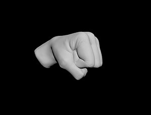 Hand Fist model