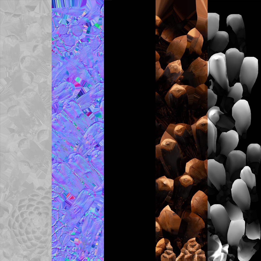 3D Model Prop 16 Pine Cones Type 02 - TurboSquid 2146750