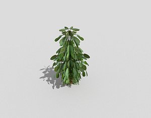 3d model of plant