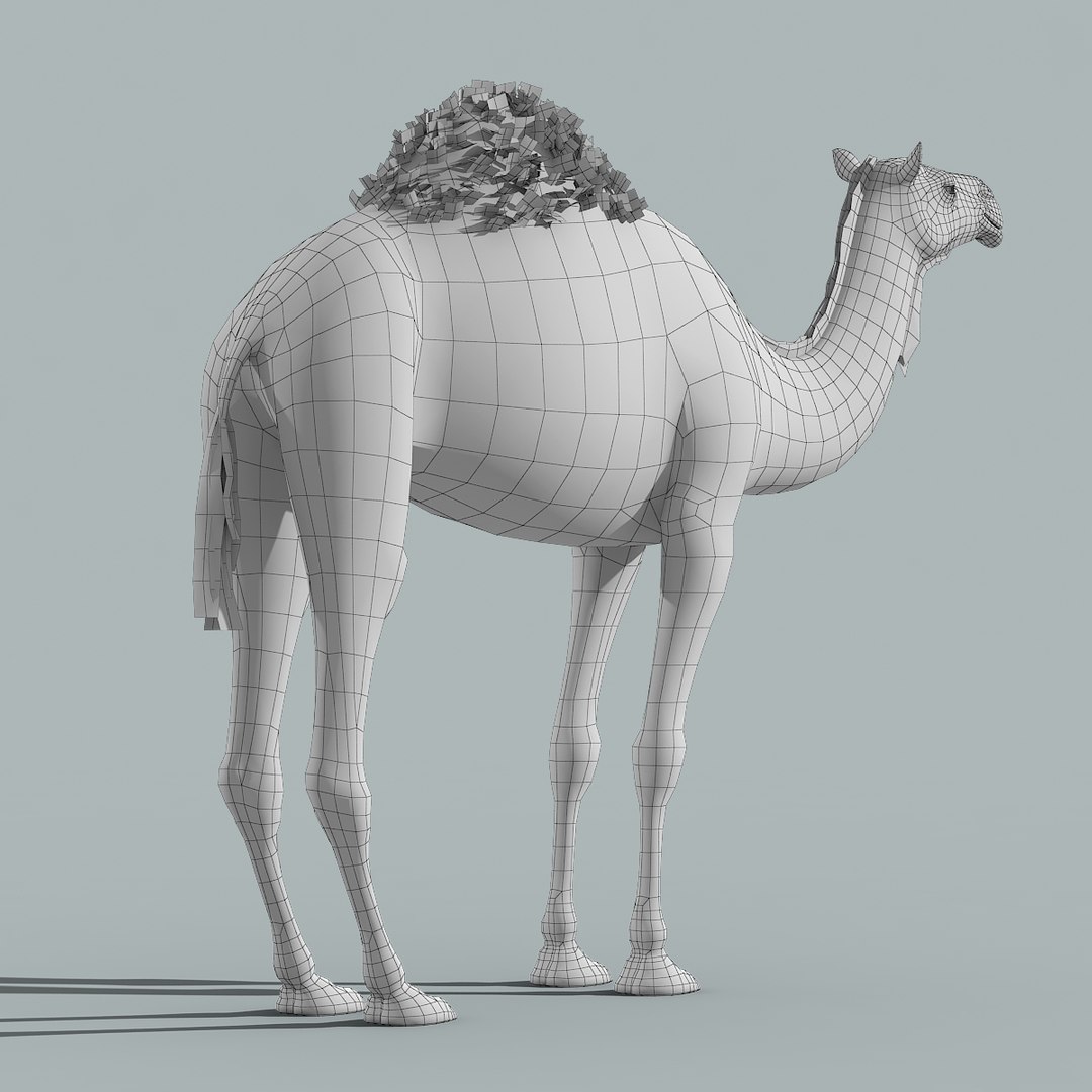 3d model camel fur https://p.turbosquid.com/ts-thumb/wd/TqCQPd/1FYT42zH/camel_model_12/jpg/1470068524/1920x1080/fit_q87/9a1887c6e3625fba6a1ba8441c4566aa2fe65ffb/camel_model_12.jpg
