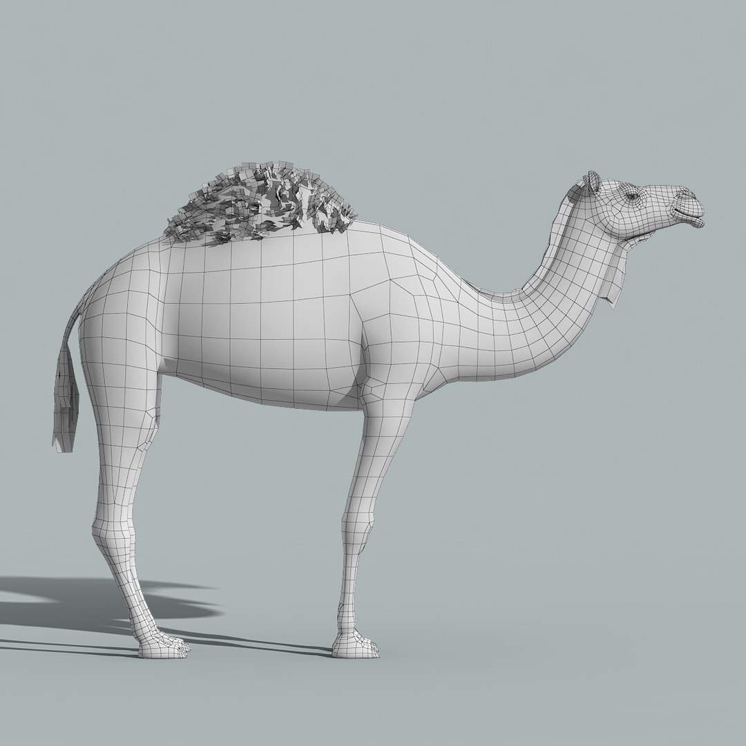 3d model camel fur https://p.turbosquid.com/ts-thumb/wd/TqCQPd/TgsPpXlz/camel_model_11/jpg/1470068523/1920x1080/fit_q87/6838e08dbc48e68f98b4552e2d8e5f36e0bb2de0/camel_model_11.jpg