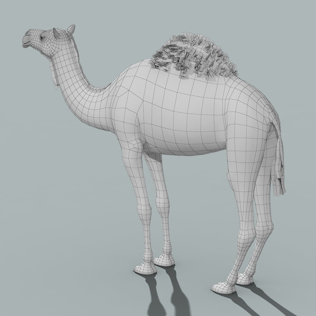 3d model camel fur https://p.turbosquid.com/ts-thumb/wd/TqCQPd/bvuKYkNt/camel_model_13/jpg/1470068524/1920x1080/fit_q87/8d1dbab98bcf3ac3d60ac7721f53bb03a2105f0a/camel_model_13.jpg