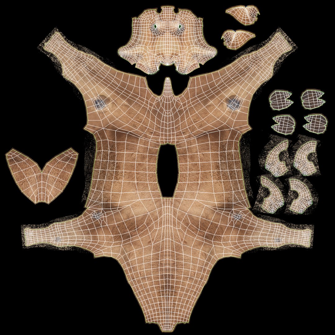 3d model camel fur https://p.turbosquid.com/ts-thumb/wd/TqCQPd/ctTwG2NO/camel_model_17/jpg/1470068524/1920x1080/fit_q87/4f680fecc54cae23a4c8caa97ee914e0a451f227/camel_model_17.jpg