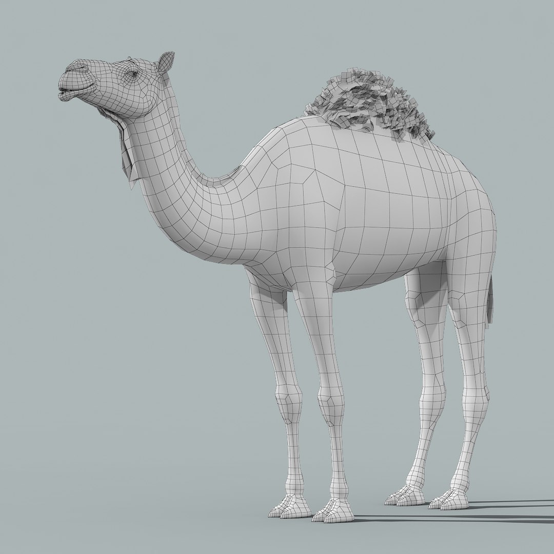 3d model camel fur https://p.turbosquid.com/ts-thumb/wd/TqCQPd/e3mzE9kY/camel_model_14/jpg/1470068524/1920x1080/fit_q87/0909e35313f9fe203e33324fa40e37a169c829ed/camel_model_14.jpg