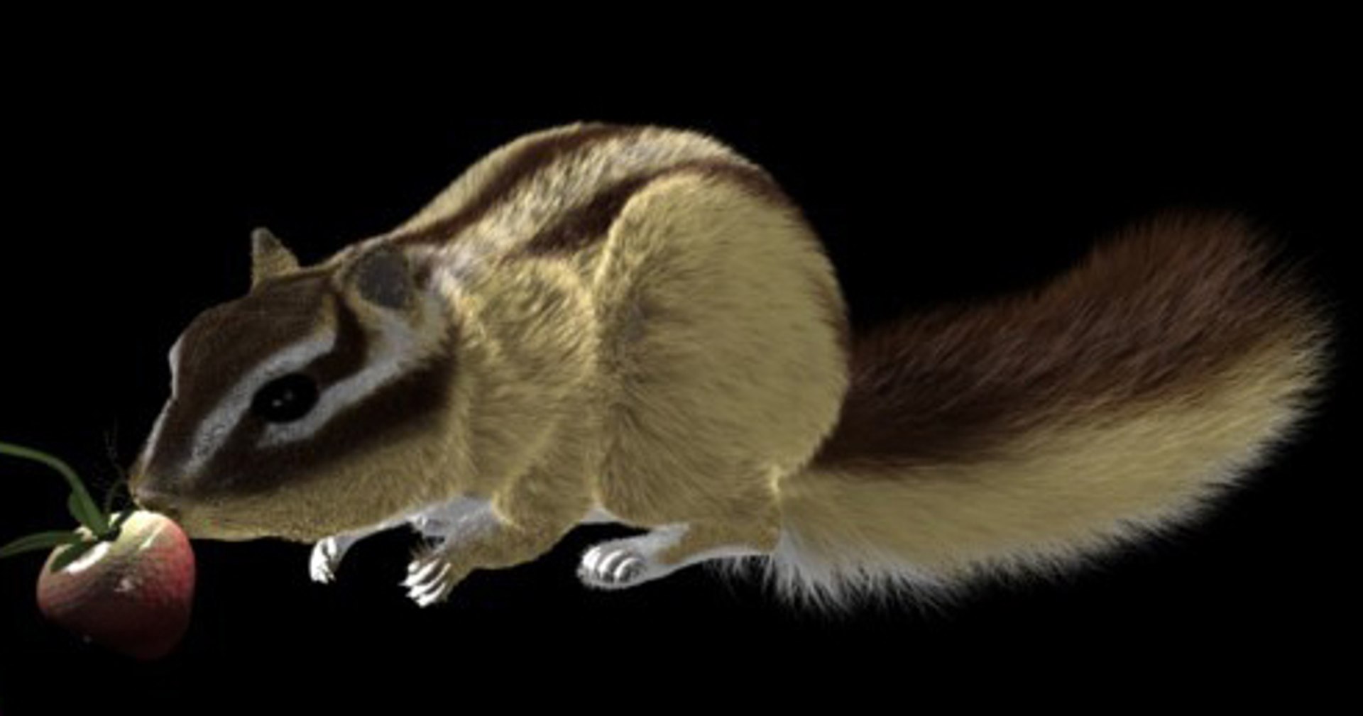 chipmunk fur