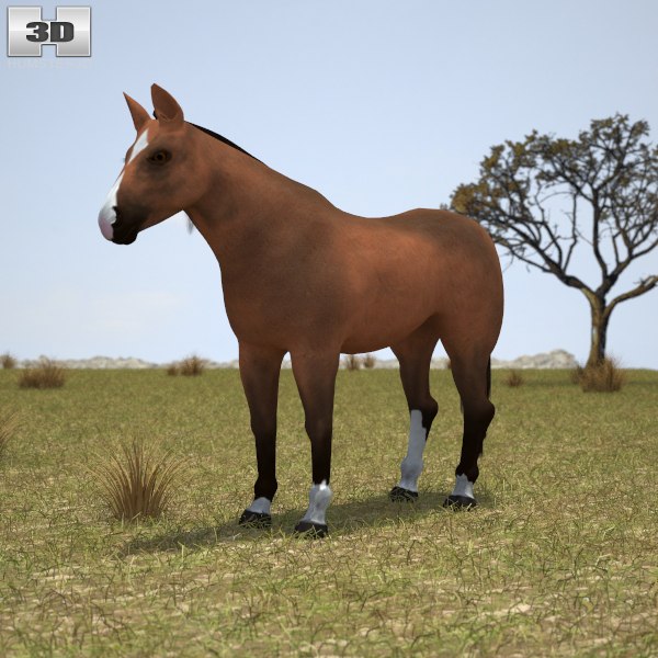 3D thoroughbred