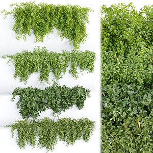 Hanging wall plants collection vol 64 model