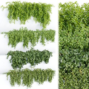 Hanging wall plants collection vol 64-3dmodel
