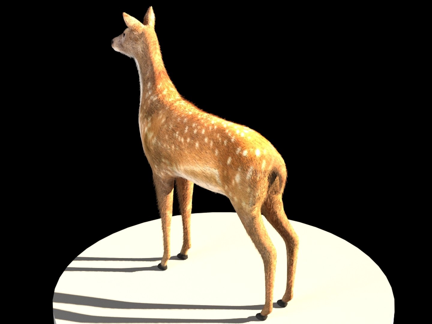 3D Deer Model - TurboSquid 1215072