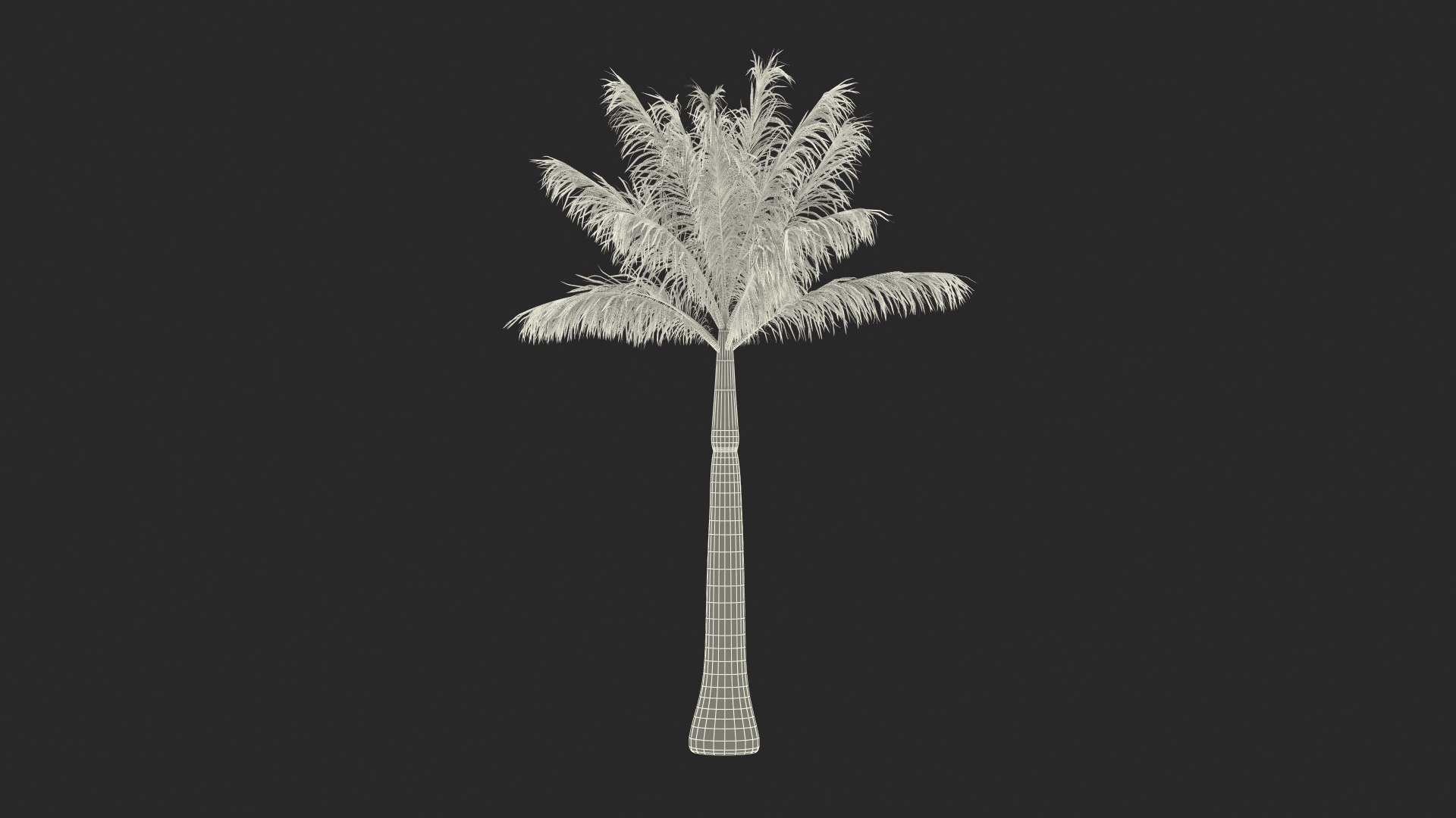palms 2 model https://p.turbosquid.com/ts-thumb/wd/nydhlS/0HP31NHf/palmscollection23dsmodel034/jpg/1590830006/1920x1080/fit_q87/419bd15224165be3915277d53f91935b226397e4/palmscollection23dsmodel034.jpg