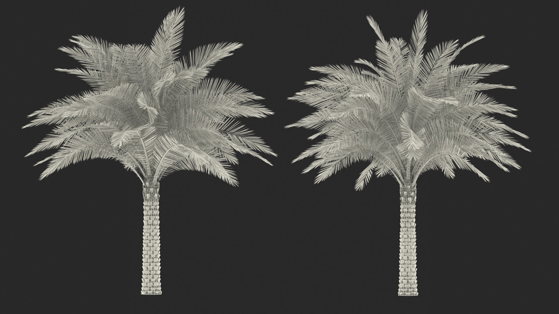 palms 2 model https://p.turbosquid.com/ts-thumb/wd/nydhlS/Twh0asmt/palmscollection23dsmodel036/jpg/1590830009/1920x1080/fit_q87/4a8b4d7ab4e98c71fd2373da23ca94b4ca54bf24/palmscollection23dsmodel036.jpg