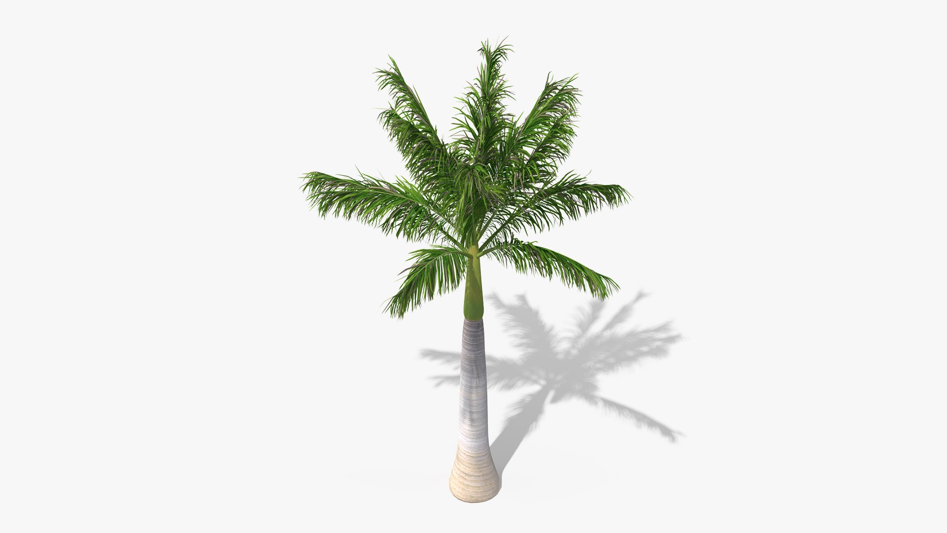 palms 2 model https://p.turbosquid.com/ts-thumb/wd/nydhlS/gqh6Iwnc/palmscollection23dsmodel018/jpg/1590829974/1920x1080/fit_q87/2ae08bb80e42982b4ac5b31498e3cda884846980/palmscollection23dsmodel018.jpg