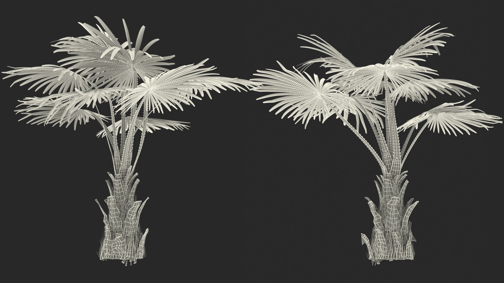 palms 2 model https://p.turbosquid.com/ts-thumb/wd/nydhlS/vka1dTtf/palmscollection23dsmodel033/jpg/1590830004/1920x1080/fit_q87/9419f365edbe341333191988c6bc2b3e317f3fa8/palmscollection23dsmodel033.jpg