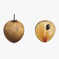 Fruit Chico Low Poly