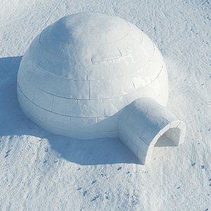 igloo snow 3d max