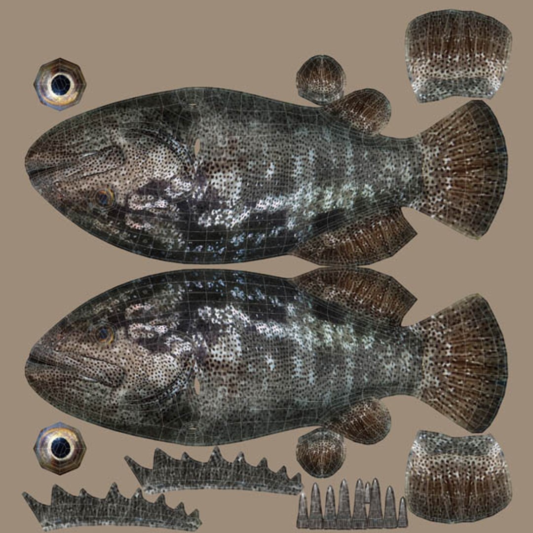 Animal fish model - TurboSquid 1419727