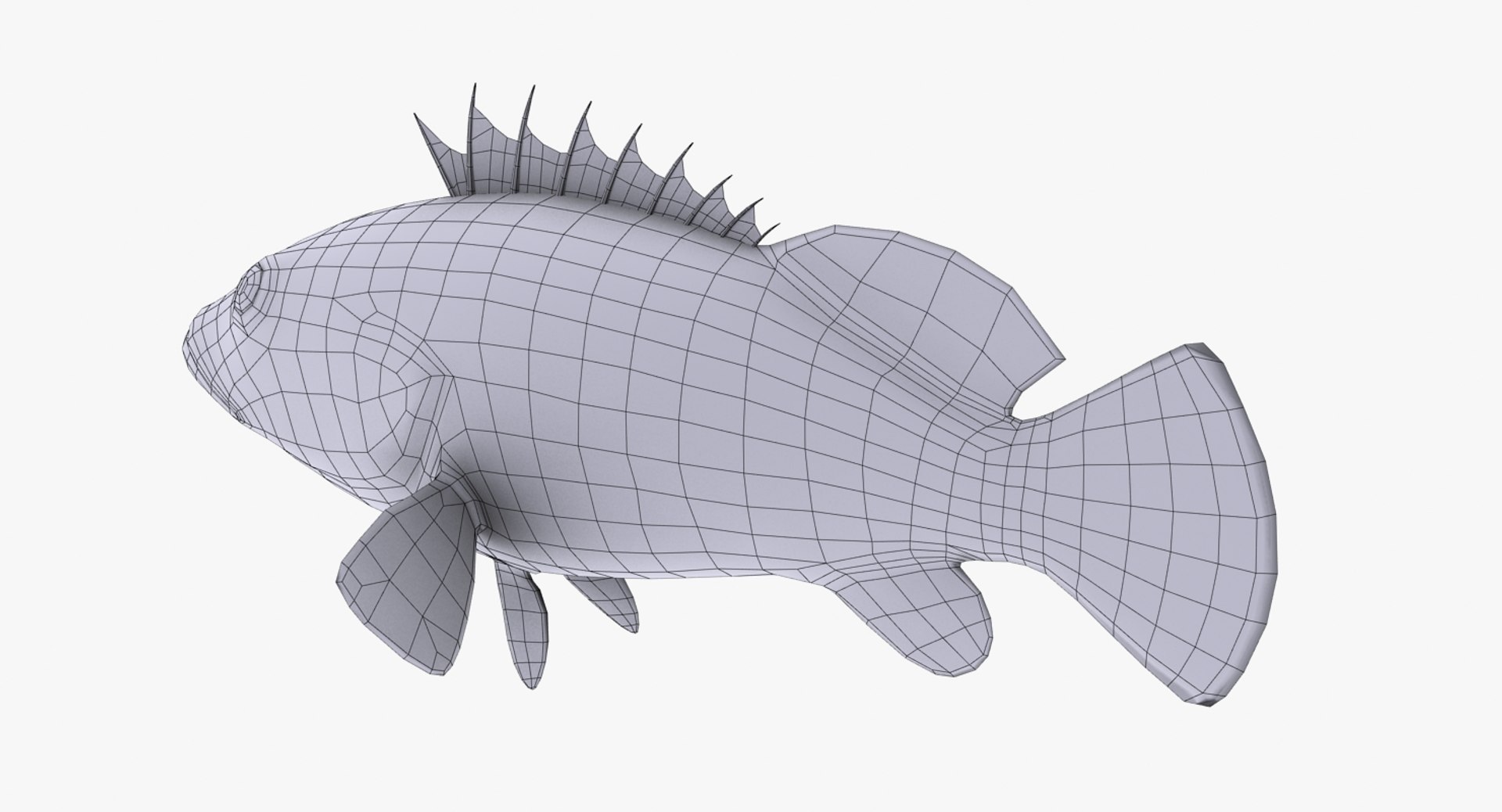 Animal fish model - TurboSquid 1419727