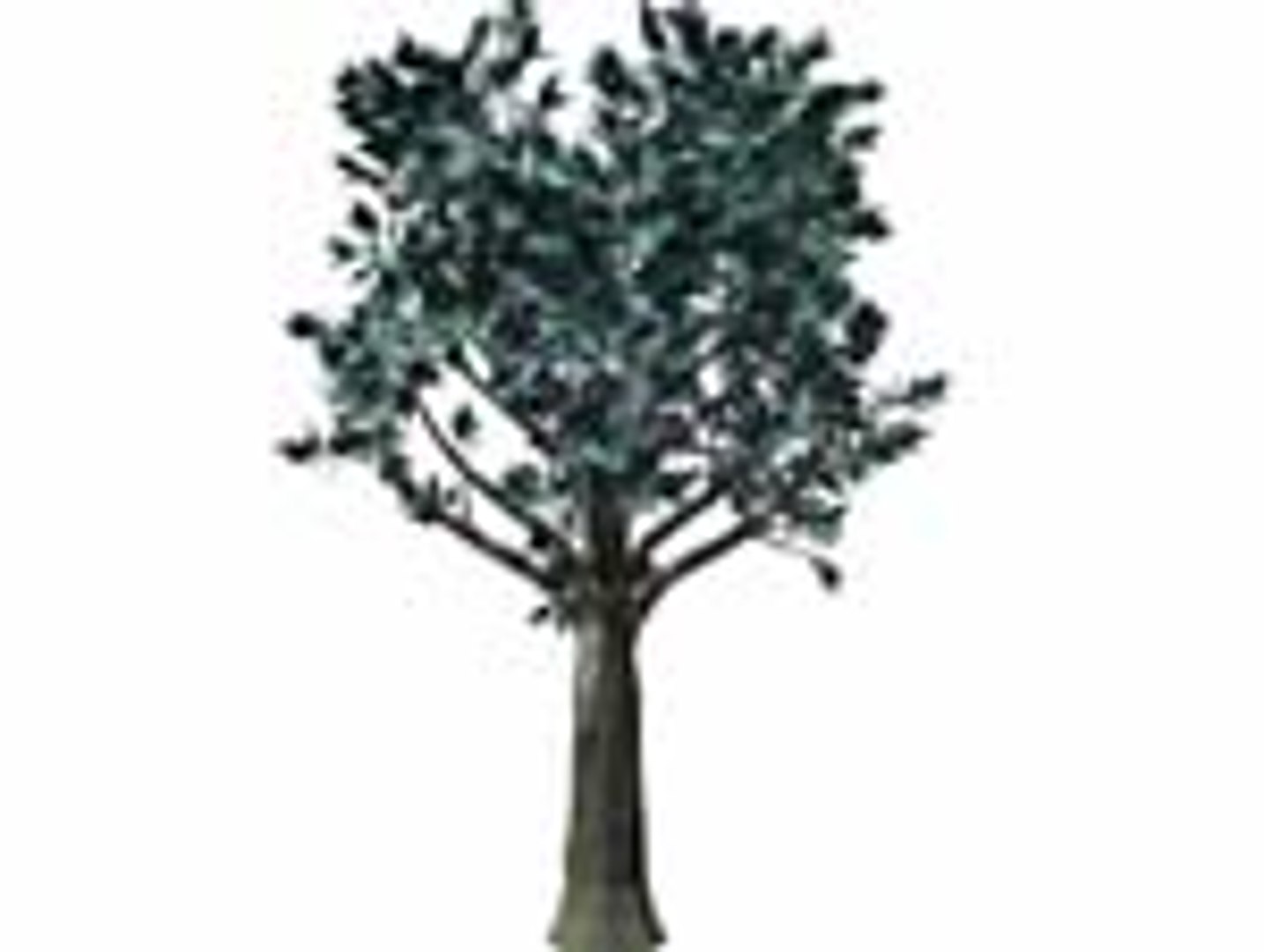 3d Model Orchard Tree