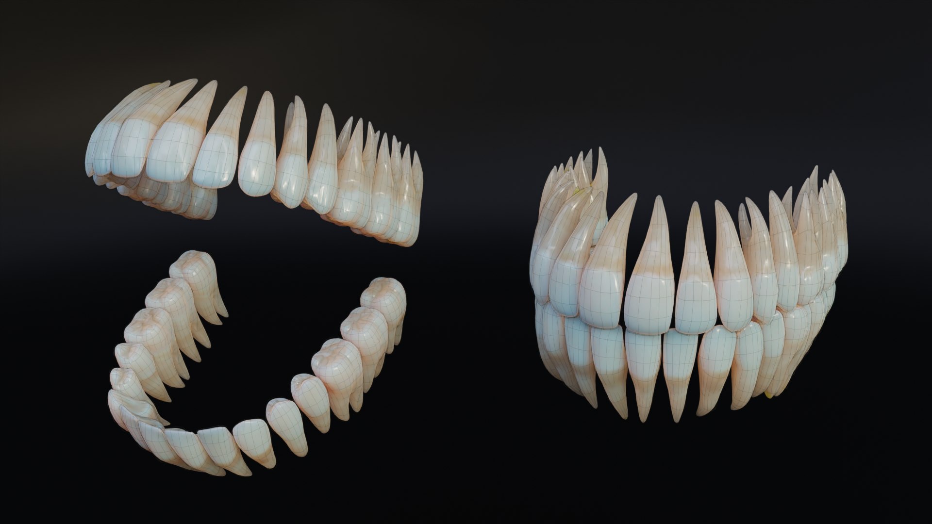 3D Dirty Human Teeth Realistic and Detailed https://p.turbosquid.com/ts-thumb/we/G38aMX/6Z/render8/png/1736616197/1920x1080/fit_q87/39709dd2245e760cfd7a6974b769cb413806ed26/render8.jpg