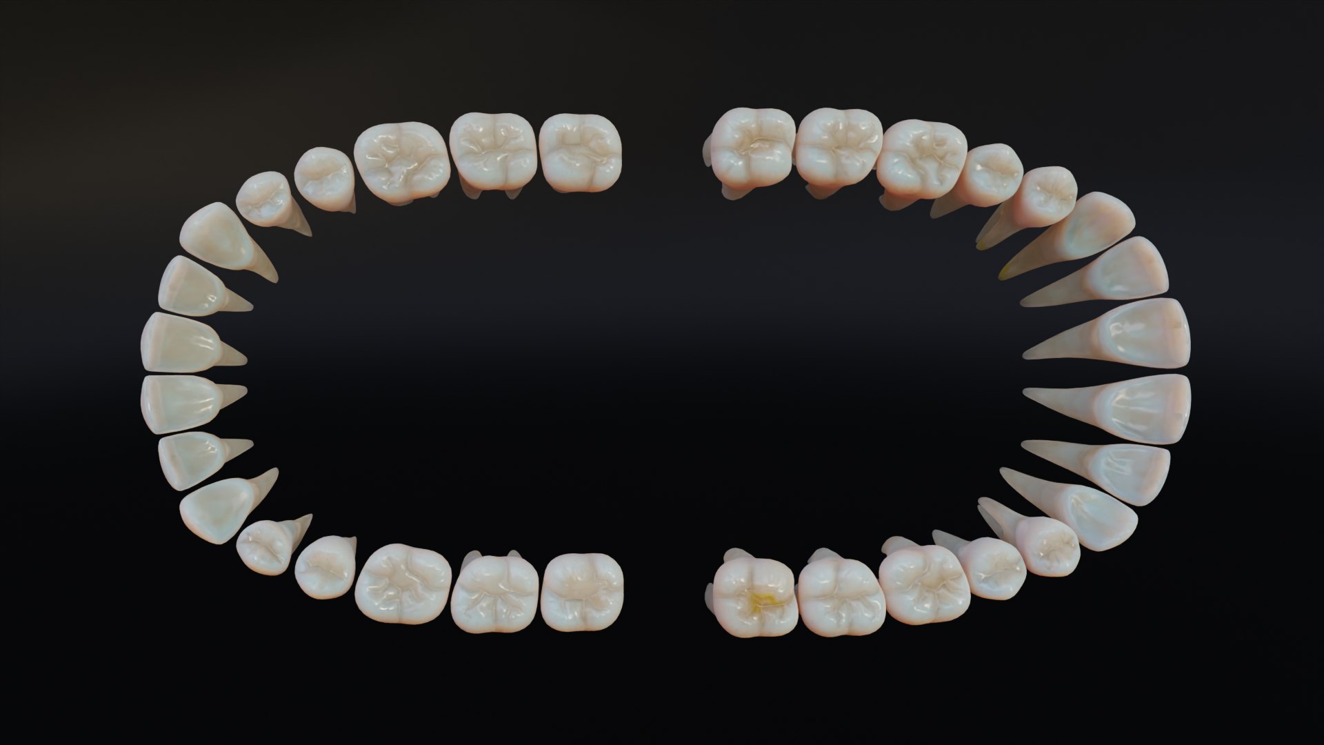 3D Dirty Human Teeth Realistic and Detailed https://p.turbosquid.com/ts-thumb/we/G38aMX/D3/render11/png/1736616200/1920x1080/fit_q87/478c4f6514d089bfe489f2a6254f25407084a82a/render11.jpg