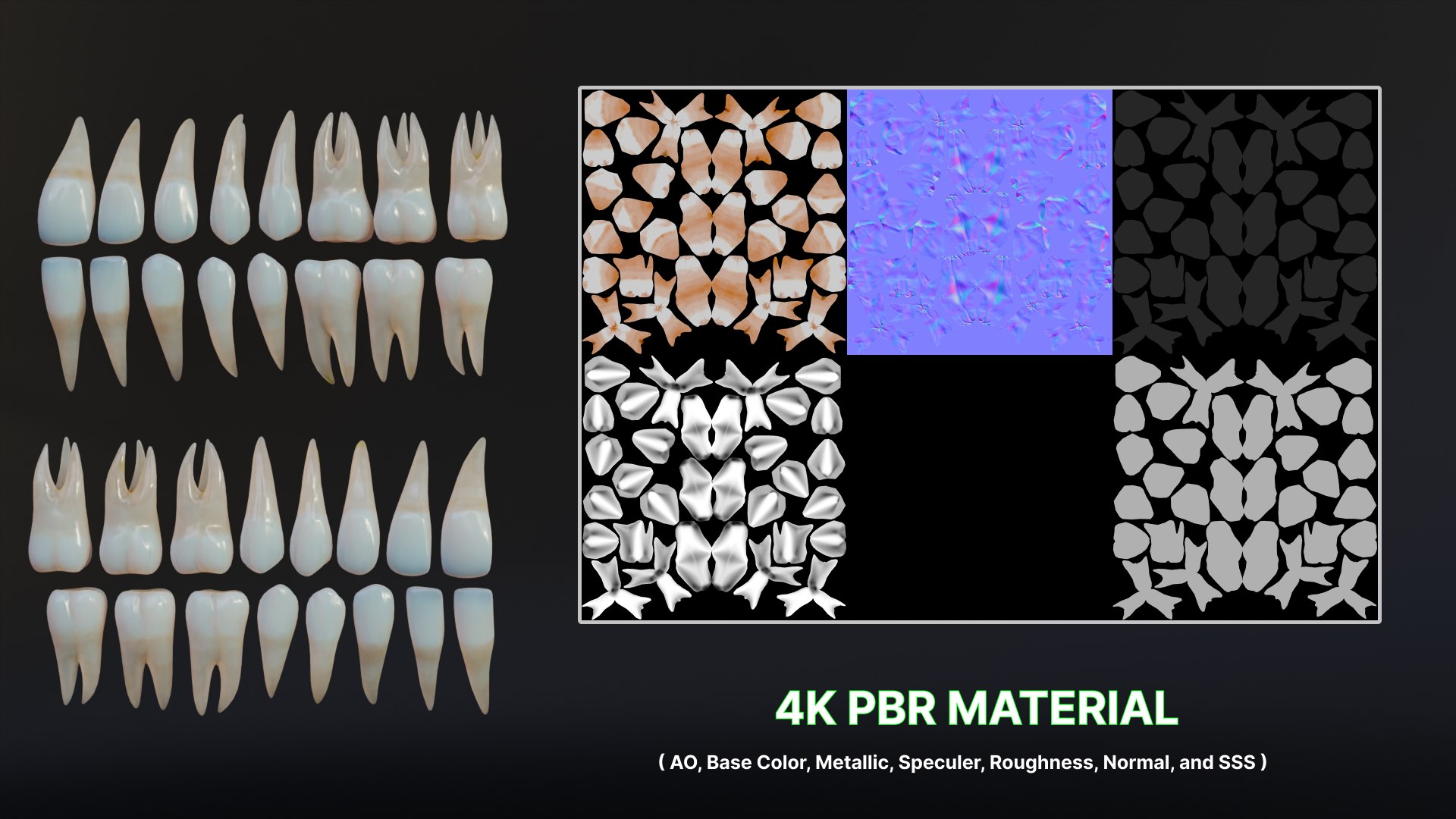 3D Dirty Human Teeth Realistic and Detailed https://p.turbosquid.com/ts-thumb/we/G38aMX/QS/render15/png/1736616204/1920x1080/fit_q87/7ba5b99aa67efb84560b46f57d0eca979f49834c/render15.jpg