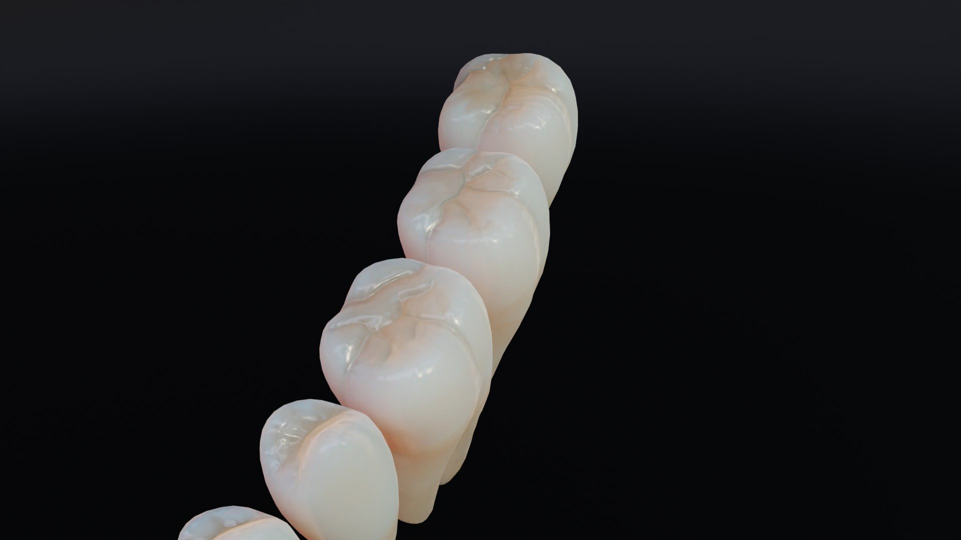 3D Dirty Human Teeth Realistic and Detailed https://p.turbosquid.com/ts-thumb/we/G38aMX/Tz/render12/png/1736616202/1920x1080/fit_q87/771c14cd24325a38f869b0885df31e912aeaa7f6/render12.jpg