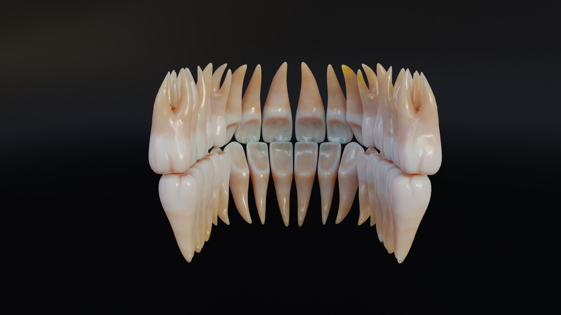 3D Dirty Human Teeth Realistic and Detailed https://p.turbosquid.com/ts-thumb/we/G38aMX/Xt/render6/png/1736616196/1920x1080/fit_q87/bd07462b047f2bd8ada11fe8030ef6ac98a94b96/render6.jpg