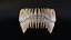 Dentes humanos sujos realistas e detalhados