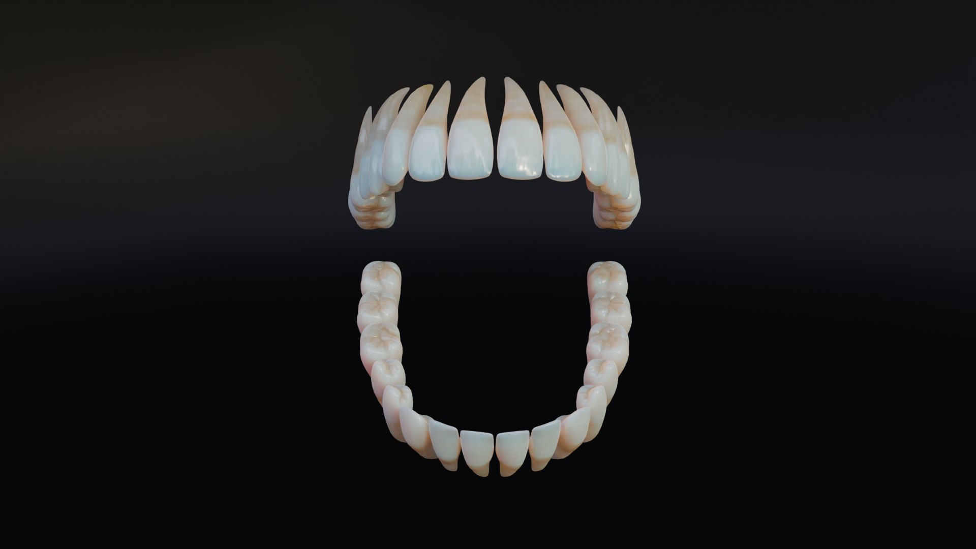 3D Dirty Human Teeth Realistic and Detailed https://p.turbosquid.com/ts-thumb/we/G38aMX/ZD/render2/png/1736616192/1920x1080/fit_q87/d23b595f33201edecb9032276e6a059846917400/render2.jpg