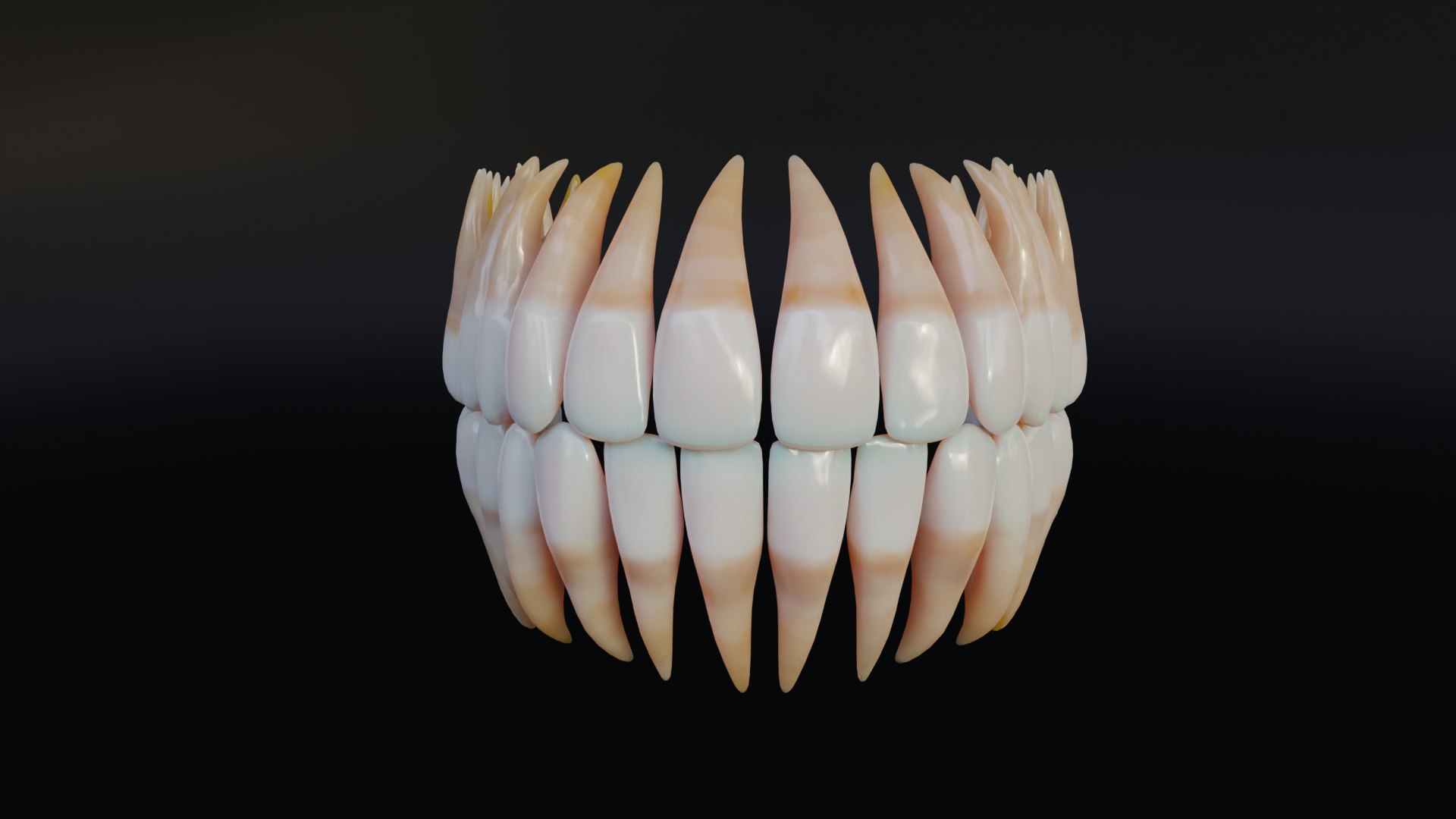 3D Dirty Human Teeth Realistic and Detailed https://p.turbosquid.com/ts-thumb/we/G38aMX/nJ/render5/png/1736616195/1920x1080/fit_q87/3762da86b28983a5ca3f5d4b32511d7a2c2c5c6d/render5.jpg