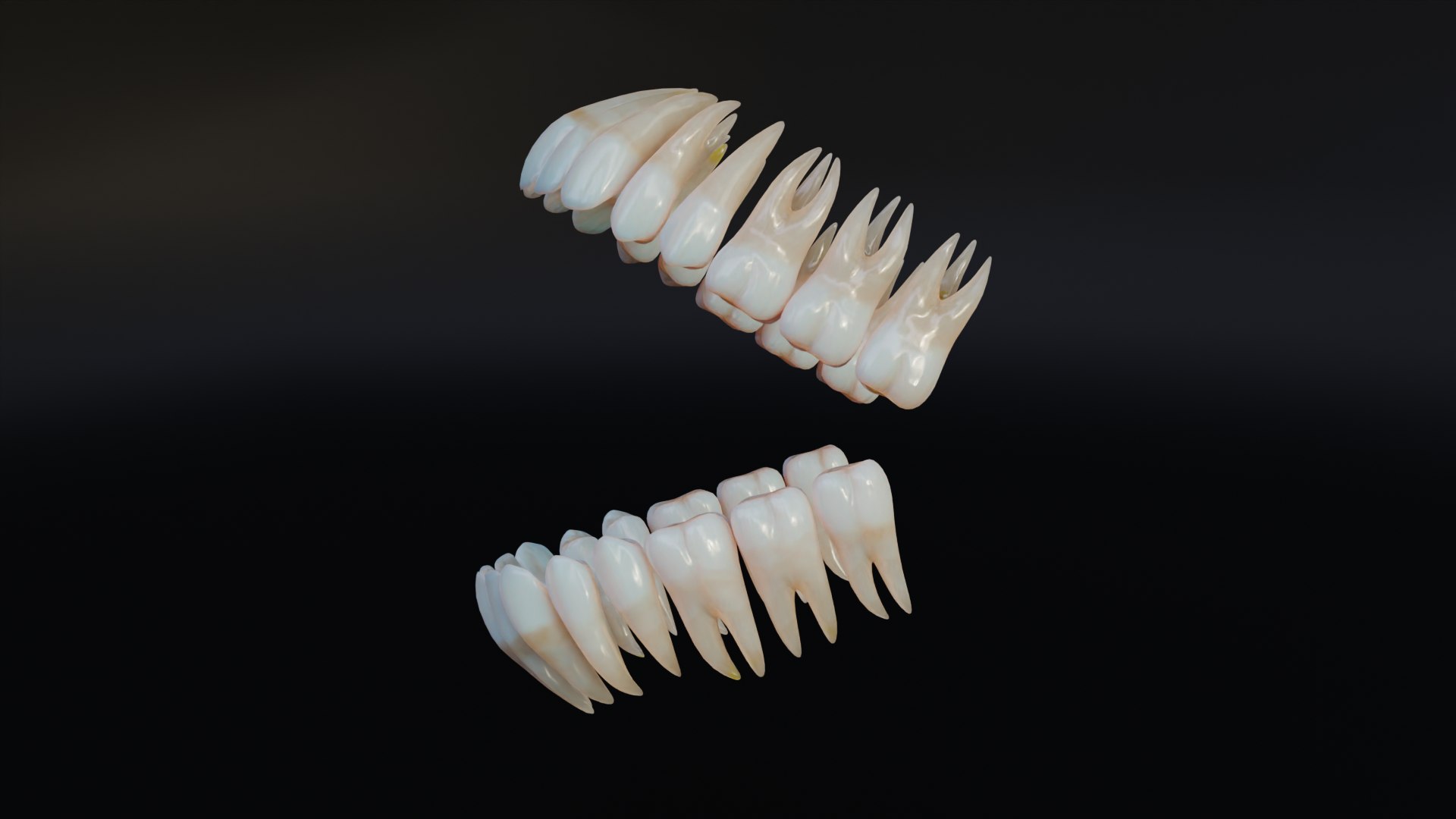 3D Dirty Human Teeth Realistic and Detailed https://p.turbosquid.com/ts-thumb/we/G38aMX/sy/render3/png/1736616194/1920x1080/fit_q87/bf1b22654c80b5ee3f0fb446a0a17c9caa3fc1ec/render3.jpg