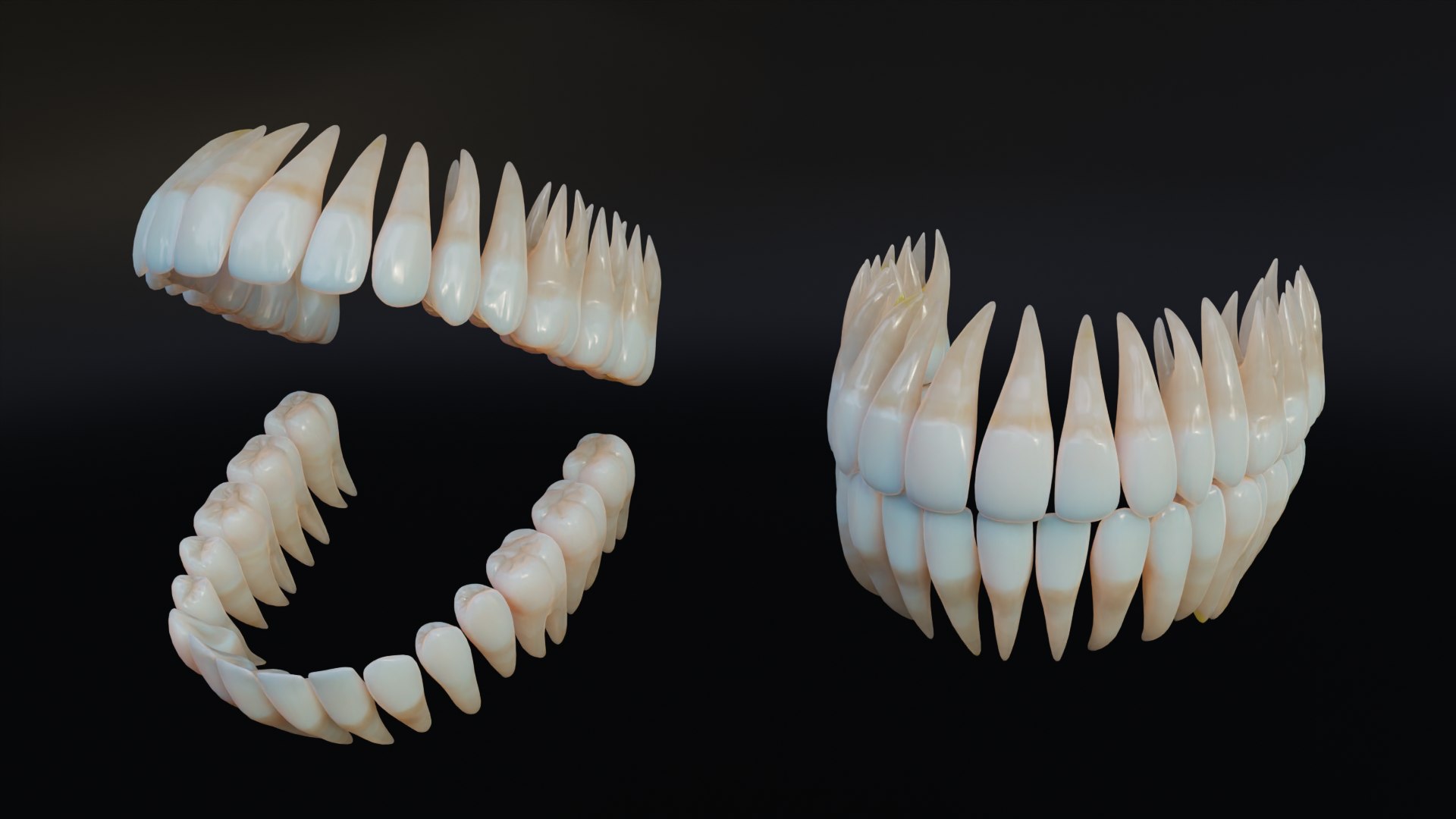 3D Dirty Human Teeth Realistic and Detailed https://p.turbosquid.com/ts-thumb/we/G38aMX/uj/render7/png/1736616197/1920x1080/fit_q87/f6588c5901408d85fff9a5d1c78f091cd1059920/render7.jpg