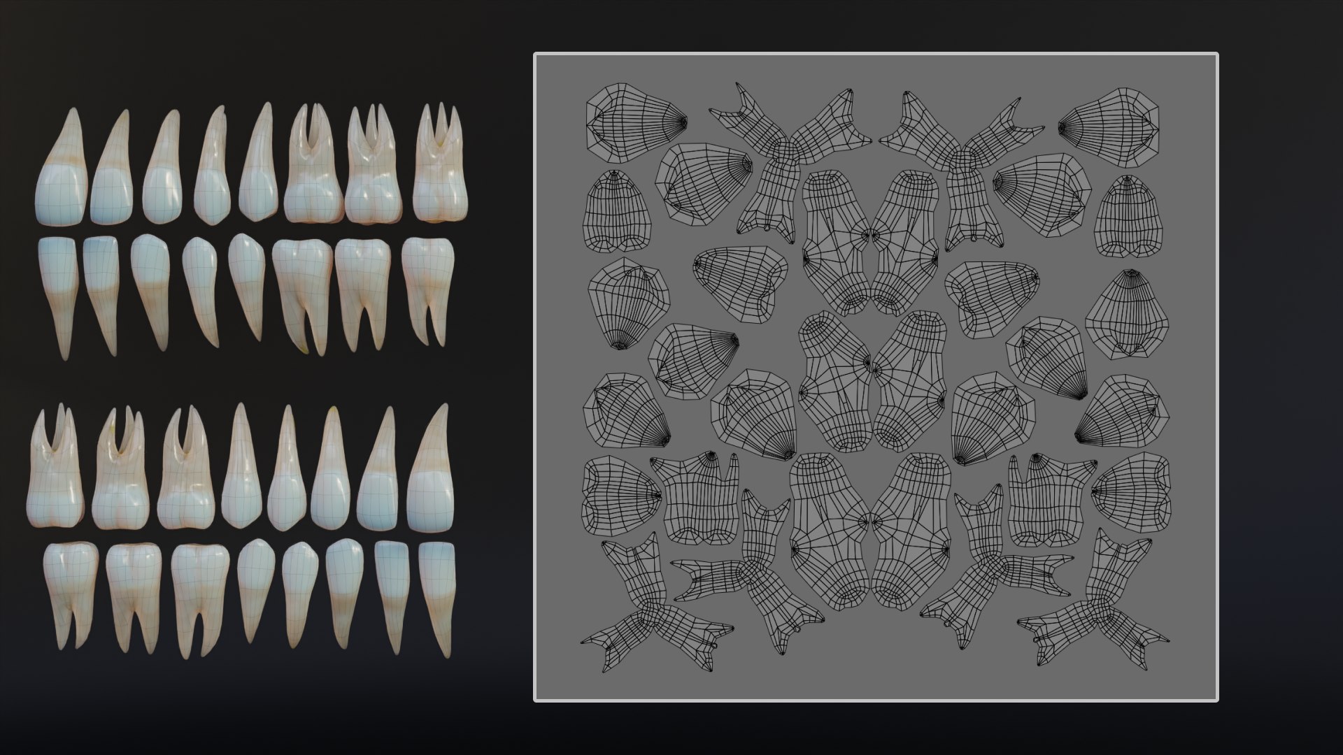 3D Dirty Human Teeth Realistic and Detailed https://p.turbosquid.com/ts-thumb/we/G38aMX/xn/render16/png/1736616205/1920x1080/fit_q87/6798fb23152df018e33d9bb3690adc67054fb073/render16.jpg