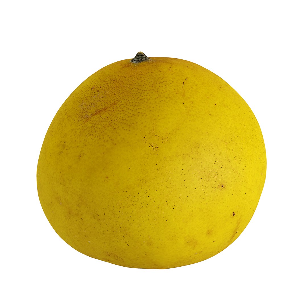 3D Pomelo Model TurboSquid 2056493