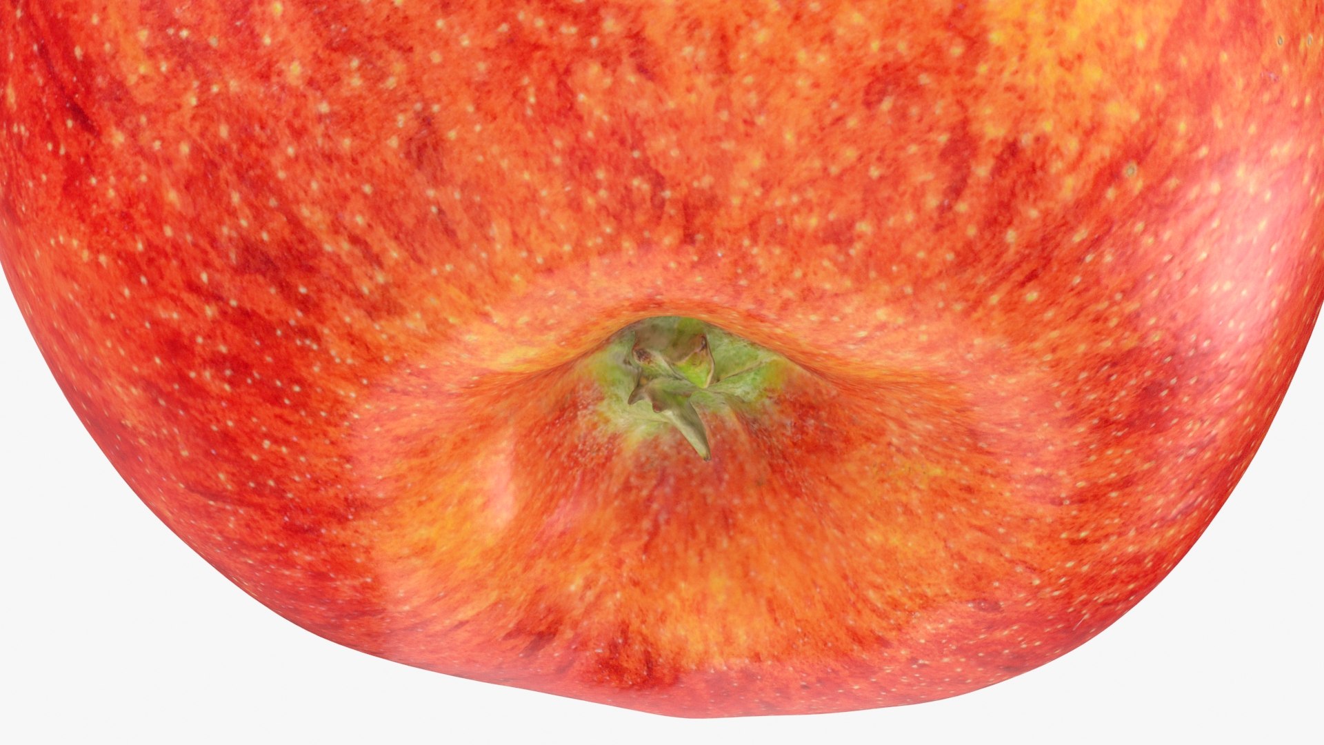 Large Gala Apple 01 3D model https://p.turbosquid.com/ts-thumb/we/nsKB13/ks/galaapplela1_b0022/jpg/1721401892/1920x1080/fit_q87/a444bf099055ab4ab08c74b25fbe088c277aedbc/galaapplela1_b0022.jpg