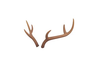 Deer Antler 3D model