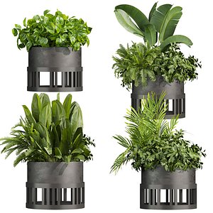 3D Collection plant vol 751 Corona 7 max 2015