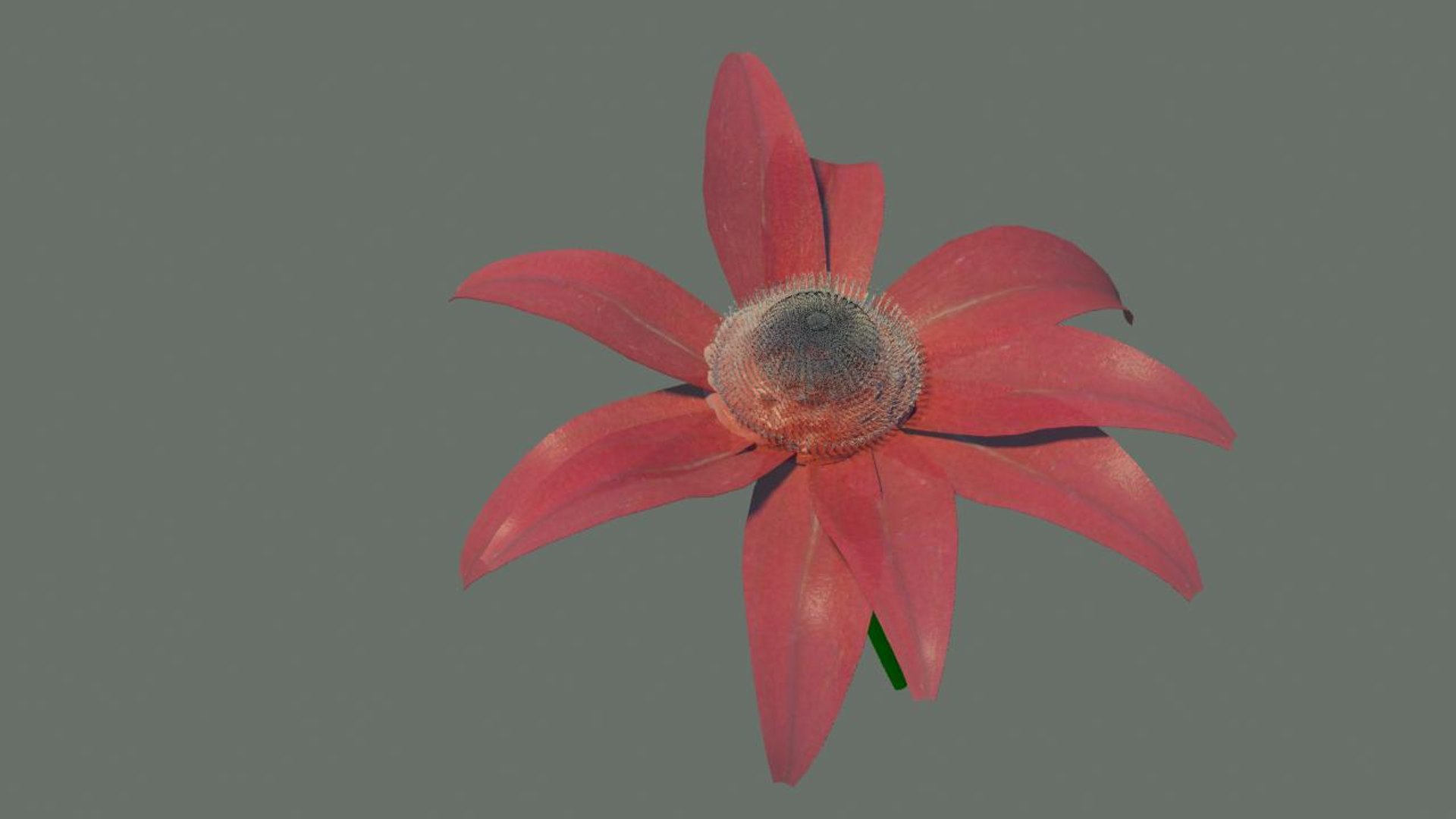 3d model opening animation https://p.turbosquid.com/ts-thumb/we/zbXK0E/Ui7lwtPU/flower6/jpg/1334759017/1920x1080/fit_q87/7b5eb76e1c5635f5722dada60946a9493747bfdf/flower6.jpg