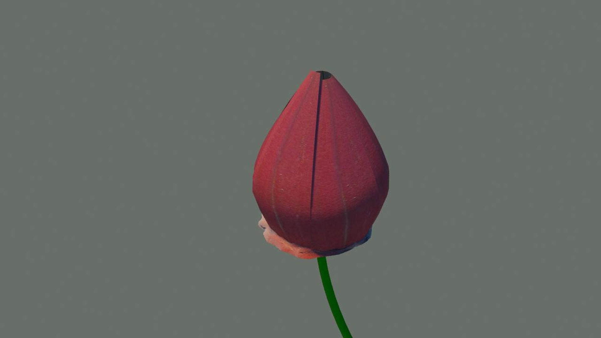 3d model opening animation https://p.turbosquid.com/ts-thumb/we/zbXK0E/zVoyyjlg/flower1/jpg/1334758987/1920x1080/fit_q87/95e72d79d40473692712fd50b16ac071f0bd173a/flower1.jpg