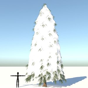 3D fraseri tree snow model
