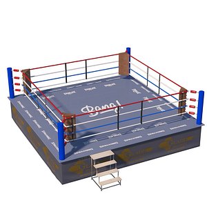 boxing ring 3D